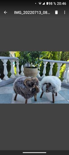 Schönster Garten 2022 - Elfi  aus Braunau