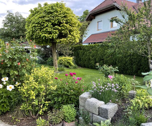 Schönster Garten 2022 - Margit aus Steyr