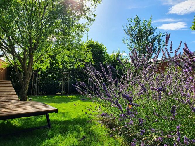 Schönster Garten 2022 - Sabine aus Amstetten