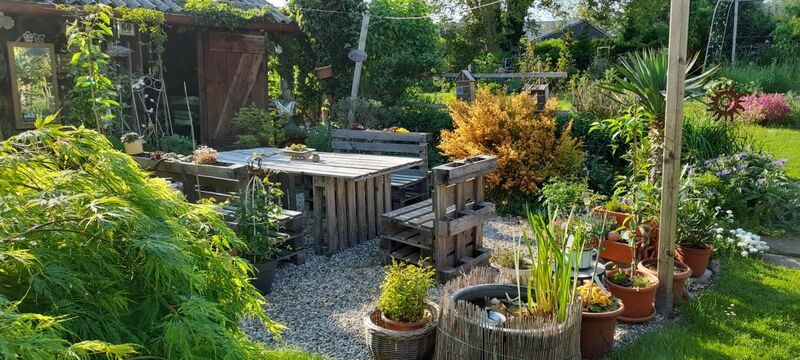 Schönster Garten 2022 - Martina aus Amstetten