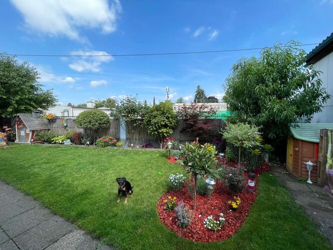 Schönster Garten 2022 - Diallo aus Linz