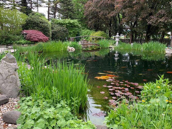 Schönster Garten 2022 - Monika aus Linz