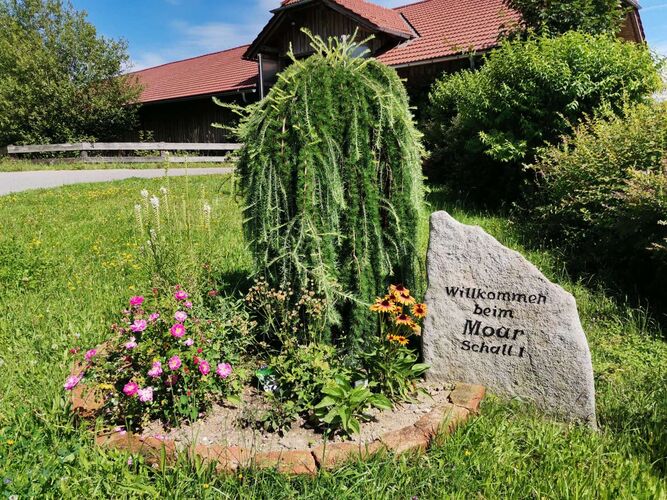 Schönster Garten 2022 - Evelyn aus Freistadt