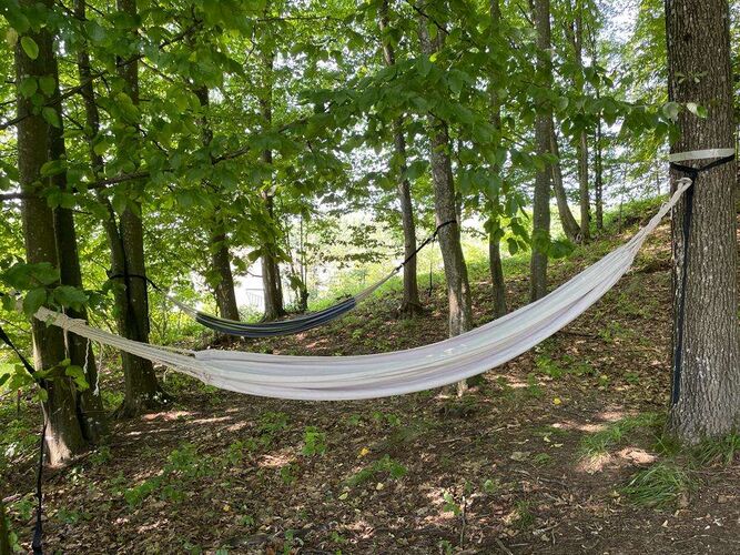 Schönster Garten 2022 - Jonathan aus Freistadt