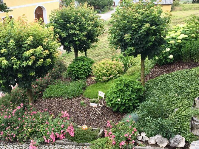 Schönster Garten 2022 - Regina  aus Grieskirchen