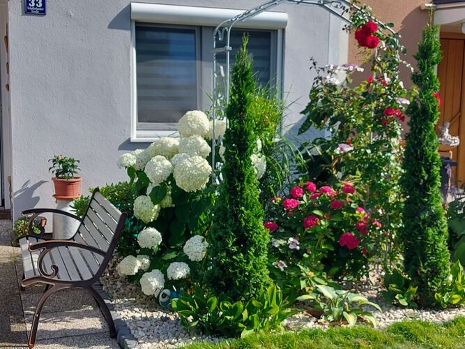 Schönster Garten 2022 - Petra aus Grieskirchen