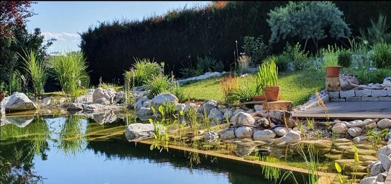 Schönster Garten 2022 - Manfred aus Vöcklabruck