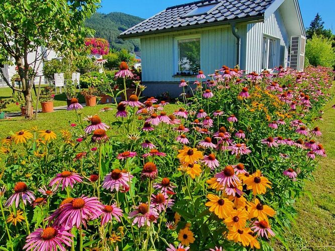 Schönster Garten 2022 - Johann aus Steyr