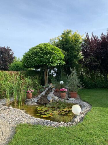 Schönster Garten 2022 - Brigitte  aus Braunau