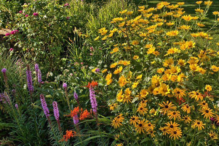 Schönster Garten 2022 - Gerhard aus Amstetten
