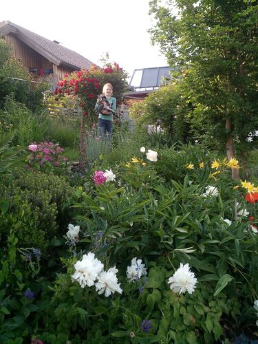 Schönster Garten 2022 - Ingrid  aus Gmunden