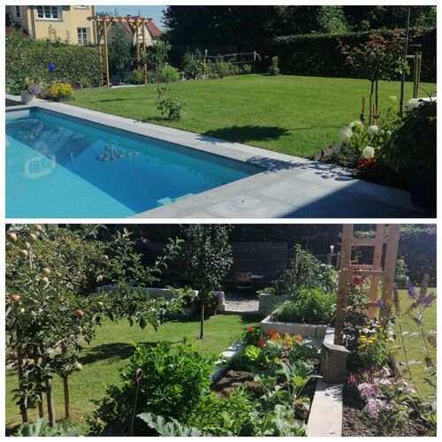 Schönster Garten 2022 - Johanna aus Steyr