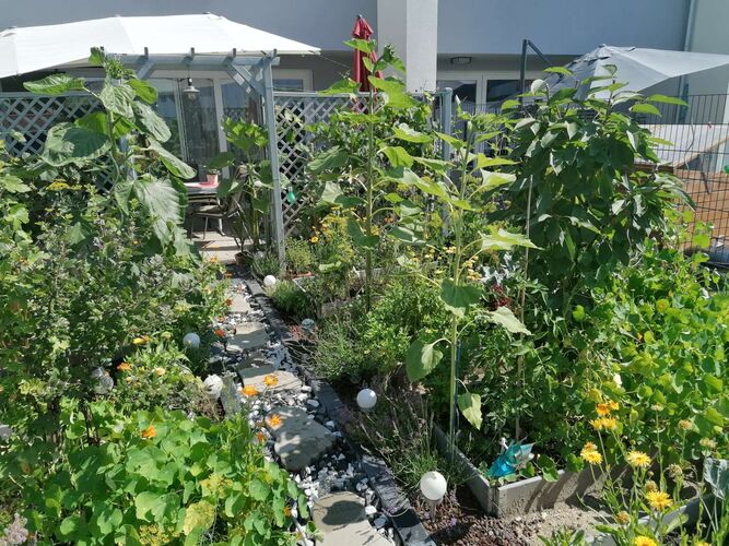 Schönster Garten 2022 - Albrecht aus Perg