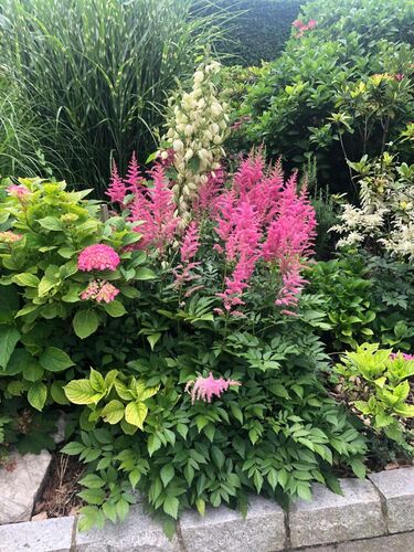 Schönster Garten 2022 - Erika aus Grieskirchen