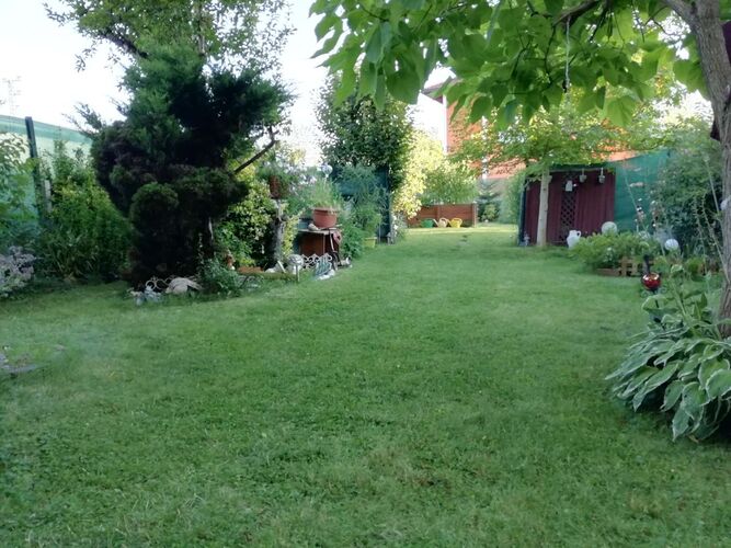 Schönster Garten 2022 - Anton  aus Vöcklabruck