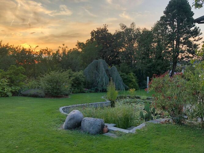 Schönster Garten 2022 - Anton aus Schärding