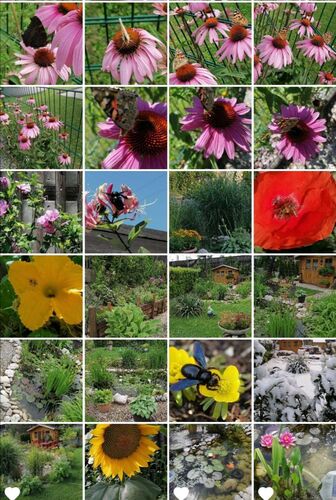 Schönster Garten 2022 - Kornelia aus Wels