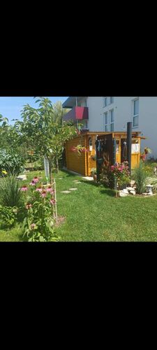 Schönster Garten 2022 - Manfred aus Amstetten