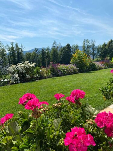 Schönster Garten 2022 - Maria aus Vöcklabruck