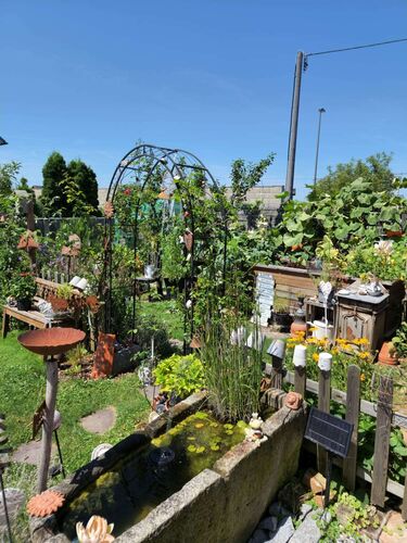 Schönster Garten 2022 - Marion  aus Linz-Land