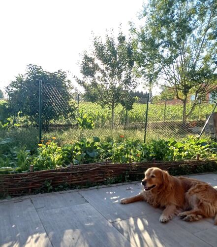 Schönster Garten 2022 - Luzia aus Braunau