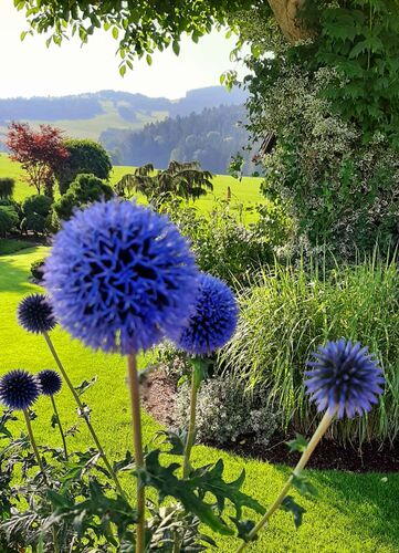 Schönster Garten 2022 - Gerlinde  aus Rohrbach