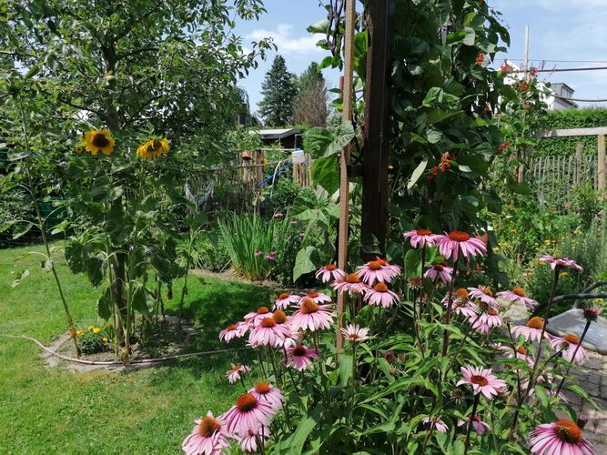 Schönster Garten 2022 - Renate aus Amstetten