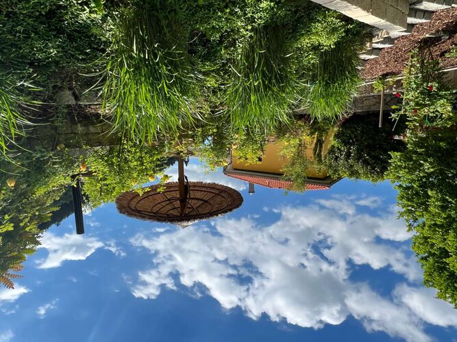 Schönster Garten 2022 - Daniela  aus Perg