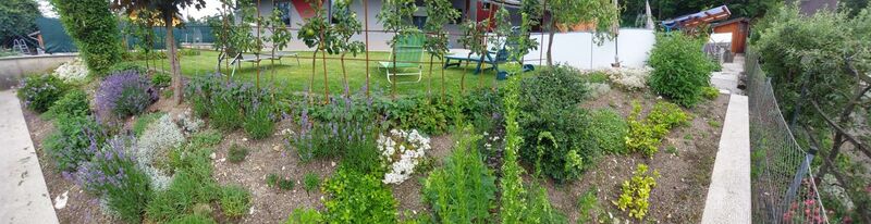 Schönster Garten 2022 - Elke aus Kirchdorf