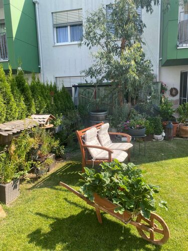 Schönster Garten 2022 - Claudia aus Ried