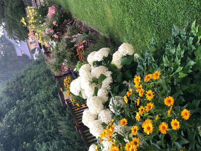 Schönster Garten 2022 - Maria aus Linz-Land