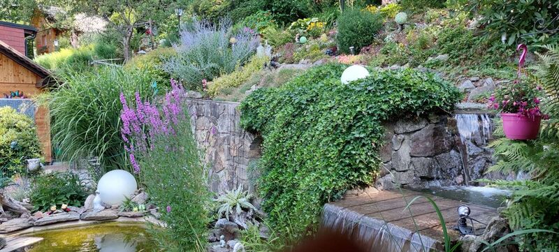 Schönster Garten 2022 - Eveline aus Rohrbach