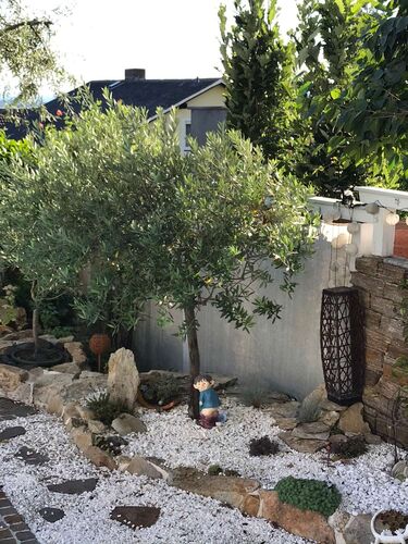 Schönster Garten 2022 - Susanne aus Freistadt