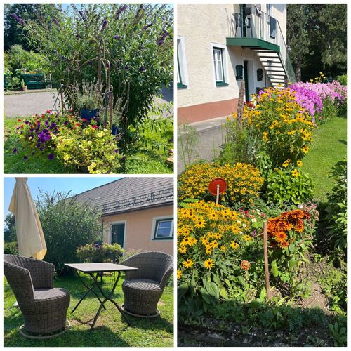 Schönster Garten 2022 - Belinda aus Kirchdorf