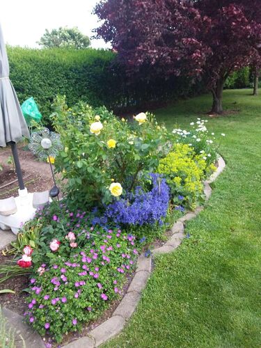 Schönster Garten 2022 - Anna aus Linz-Land