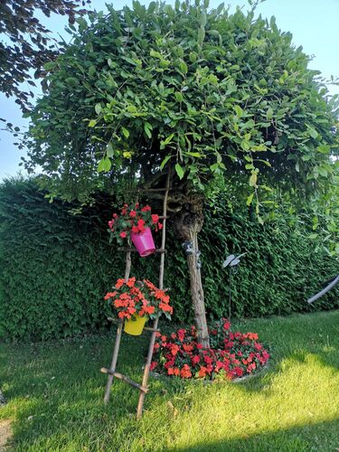 Schönster Garten 2022 - Gabi aus Wels