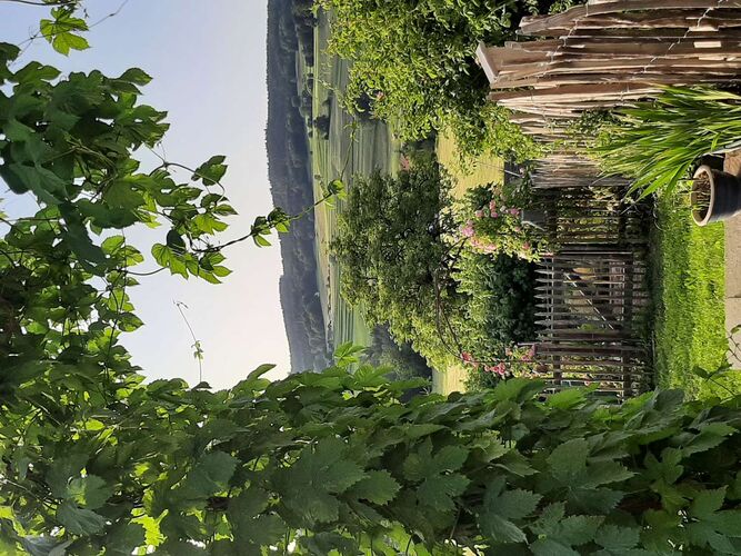 Schönster Garten 2022 - Astrid  aus Vöcklabruck