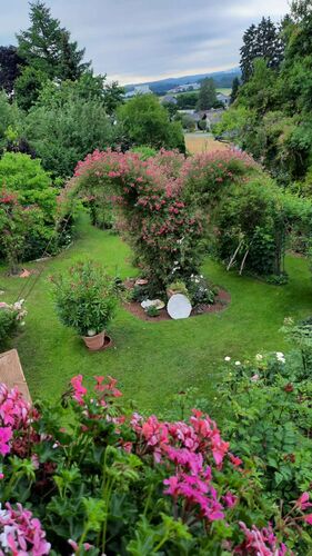 Schönster Garten 2022 - Maria aus Vöcklabruck