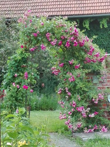 Schönster Garten 2022 - Brigitte aus Schärding