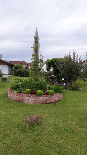 Schönster Garten 2022 - Christine aus Grieskirchen