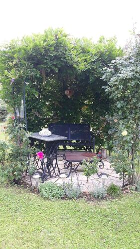 Schönster Garten 2022 - Gerhard aus Grieskirchen