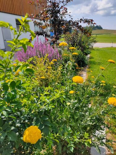 Schönster Garten 2022 - Maria aus Perg