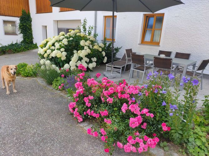 Schönster Garten 2022 - Maria aus Perg