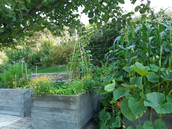 Schönster Garten 2022 - Marianne aus Steyr