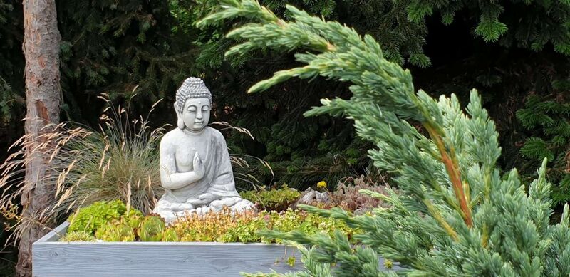 Schönster Garten 2022 - Johanna aus Braunau