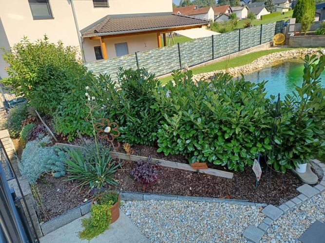 Schönster Garten 2022 - Michael aus Vöcklabruck