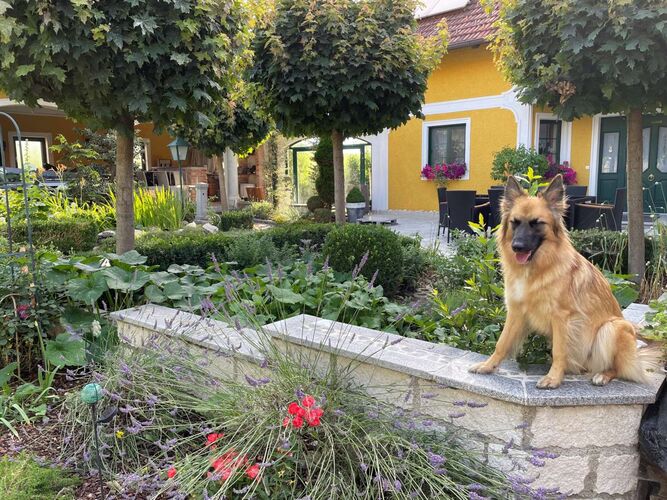 Schönster Garten 2022 - Monika aus Braunau