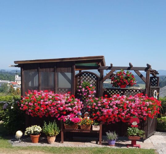 Schönster Garten 2022 - gertraud aus Rohrbach