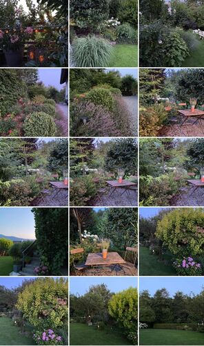 Schönster Garten 2022 - Daniela  aus Kirchdorf