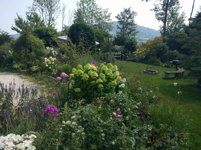 Schönster Garten 2022 - Gabriele aus Kirchdorf